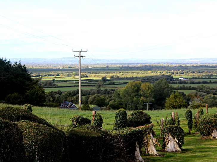 Nine Mile House, CarrickonSuir, Co. Tipperary