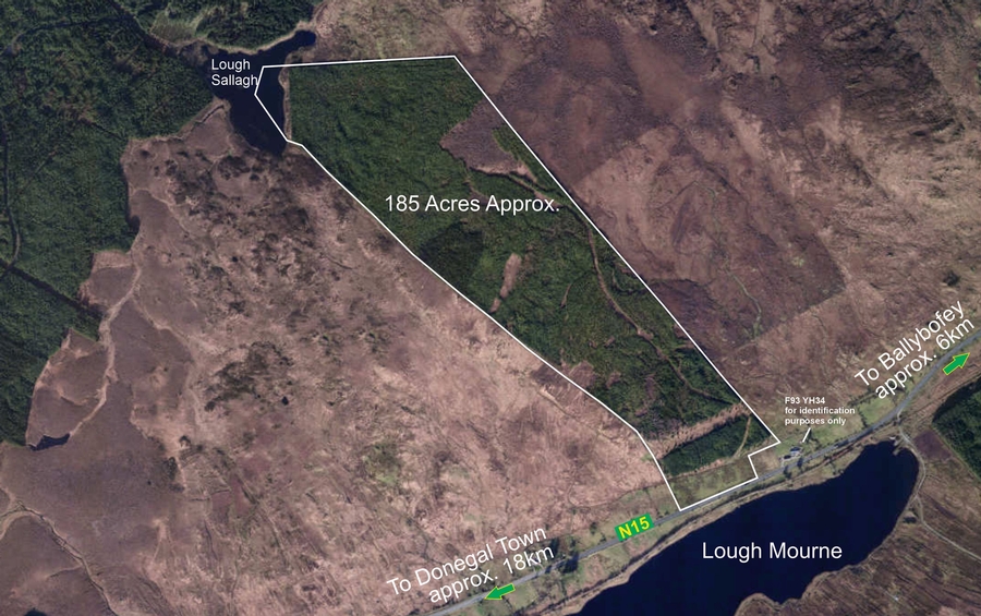 185 Acres of Afforested Land, Cashelnavean, Ballybofey, Co. Donegal