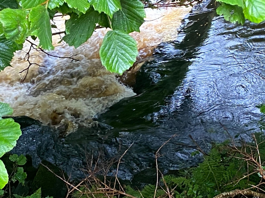 Stream running along garden boundary.