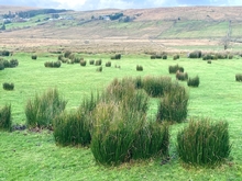 Glashagh, Cloghan, Co Donegal