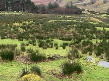 Meenmore West,Glenleighan, Fintown, Co Donegal