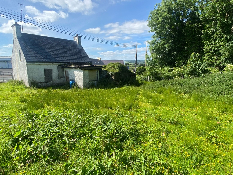Rear of Cottage & Back Garden