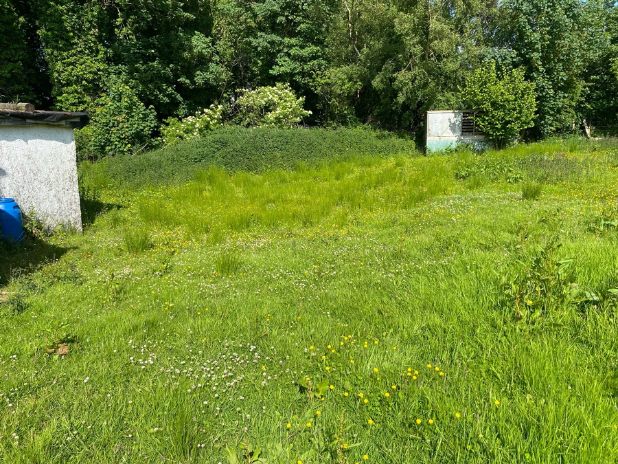 View of Rear Garden