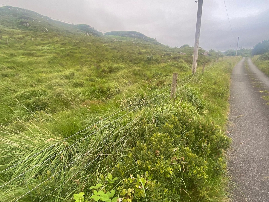 View of Plot from Road.