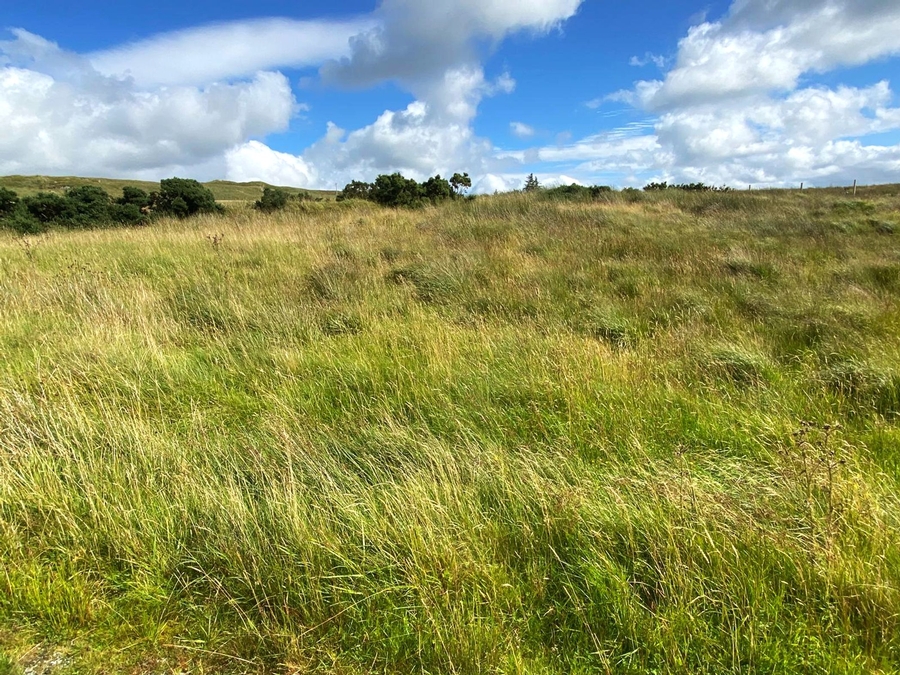 Carrickmahon, Altnapaste, Ballybofey, Co. Donegal