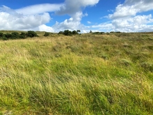 Carrickmahon, Altnapaste, Ballybofey, Co. Donegal