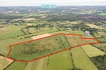 Walterstown Lower, Nurney, Co.Kildare
