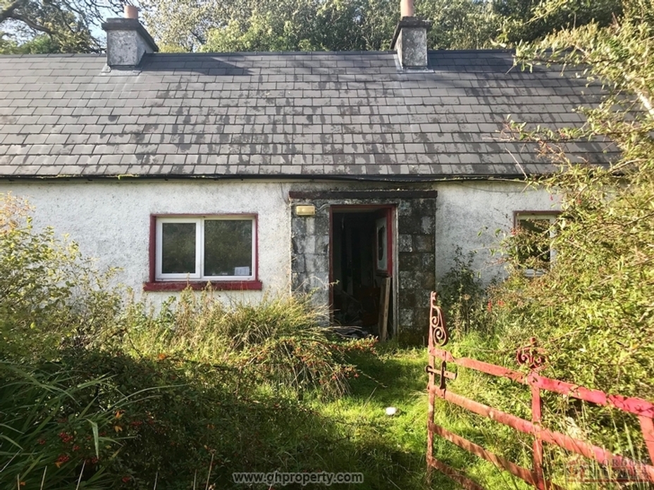 Derreen Johnston, Aughacashel, Co. Leitrim N41 CC82