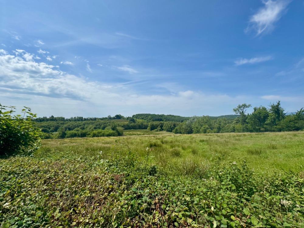 Drumharkan Glebe, Cloone, Co Leitrim