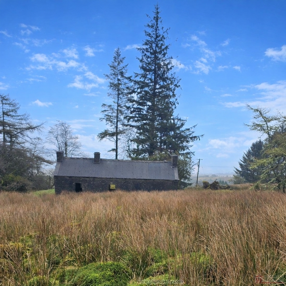 Altiquin, Drumkeerin, Co Leitrim